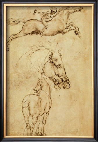 Sketch Of A Horse - Leonardo Da Vinci Painting